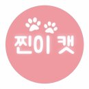찐이캣 | 인천 갈산동 강아지분양 찐이캣 업체 정보 후기
