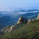 남해가봄 이미지