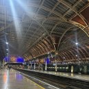 나홀로 진짜 여행 | 이제서야 올리는 2024년 영국 런던 나홀로 여행 후기 (해리포터 박물관,토트넘 손흥민 경기 직관,첼시...