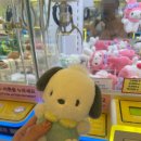 캐칭덕 화명점 이미지