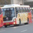 서울공항리무진(주) 이미지