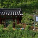 스트로마톨라이트 이미지