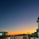 물고기 미포 이미지