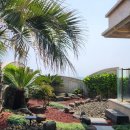 오션갤러리 리조트 이미지