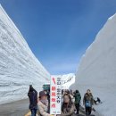 '다테야마 구로베 알펜루트'