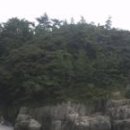 바래도 Daum백과