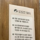 월성1동행정복지센터 탁구장 | 대구삼겹살맛집 도도한 돼지 대구신월성본점 | 월배이마트근처맛집 진천역고기집 월배역고기집