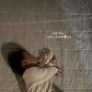 스테이운산 이미지