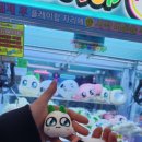 양파인형뽑기 이미지