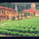 포천 허브아일랜드 관광안내소 이미지