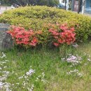 참조은사람들