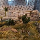 빛가람동 호수공원 이미지