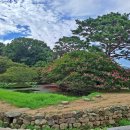 날씨의 도움을 받아 담양 명소 반나절 돌아 보기! - 담양 명옥헌, 후산리 은행나무, 죽림재, 소쇄원, 슬로시티 삼지내마을~ 이미지