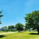 밀양파크골프장 이미지