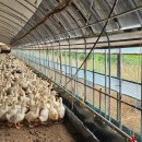 만전농장 이미지