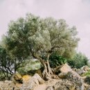 북극곰국어논술학원 이미지