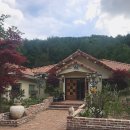 포레엠(Foret M) 이미지