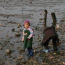 해오름 농장 이미지