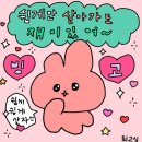 웰컨