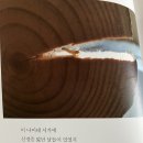 『구름의 연비』 / 조영래 디카시집 이미지