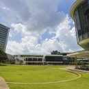 초록지붕 이미지