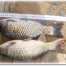 척산낚시터 이미지