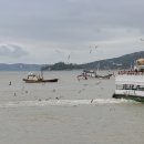 외포리선착장 이미지