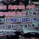 멧집찌개 이미지