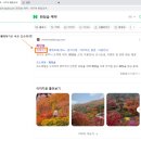 서울 근교 벚꽃 단풍 명소 화담숲 예매 성공 및 꿀팁
