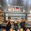 원투복싱핏 이미지