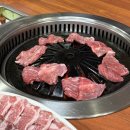 청오돼지들의세상 이미지