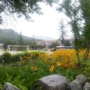 서울가산초등학교 이미지