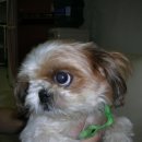 강선마을(중) 이미지