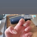 네일몽슈