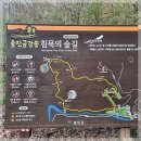 울진숙소에서의 힐링 금강송 에코리움 1박 2일 후기
