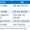 치료 패러다임의 변화: '진정'에서 '각성 억제'로수면장애 개론 이미지