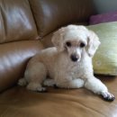 복만농장 이미지