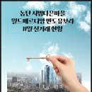시범월드공인중개사사무소 이미지