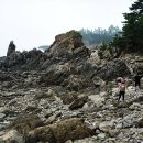 꾸지나무골해수욕장 이미지