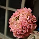 꽃송이가 이미지