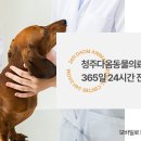 북부동물병원 이미지