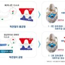 더드림한의원