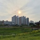 춘천숯불닭갈비 - 시흥시 은계중앙로 238 | 시흥 은계호수공원 맛집 춘천숯불닭갈비 내돈내산 후기