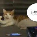 우사미뷔페 이미지