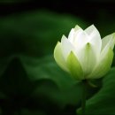 자연누리 이미지