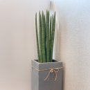 마음편안한의원 이미지