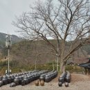 수원발효연구소
