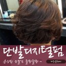 헤어머리꾼 이미지