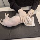 몽몽이엠파크 이미지