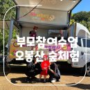 어린이집 부모 참여수업 오봉산 유아 숲 체험원